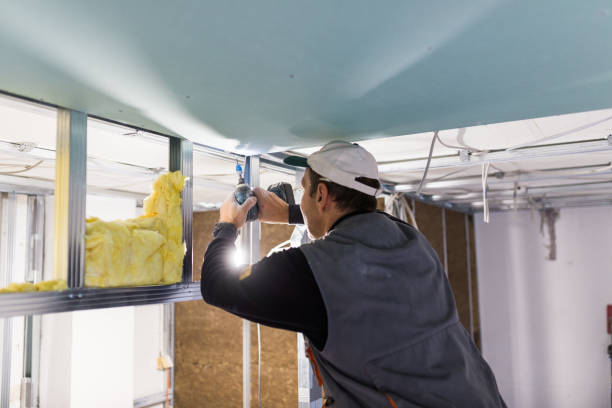 Best Residential Insulation Services  in Decatur, AR